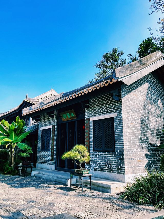 來惠州旅遊的寶子們，一定要打卡這個地方！！