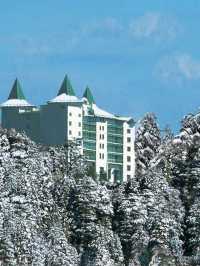 Shimla's Serenity & Luxury Unveiled 🌄✨