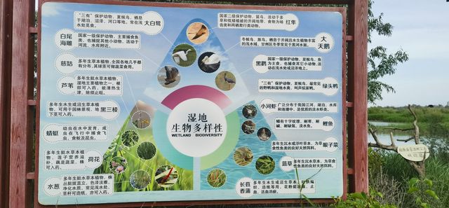 張掖國家濕地公園