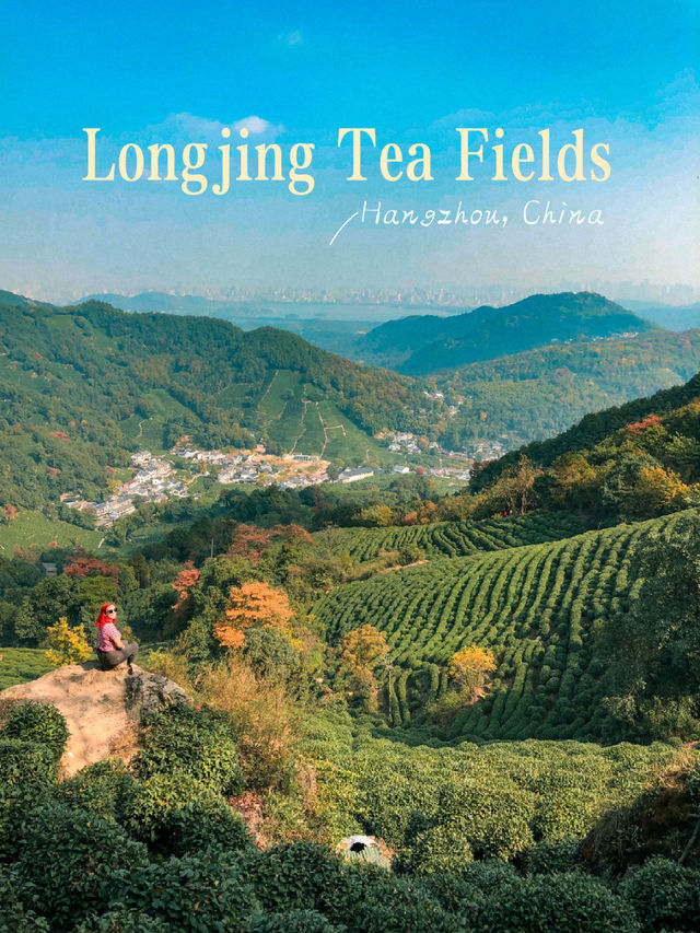Hiking through Longjing Tea Fields in Hangzhou 🇨🇳