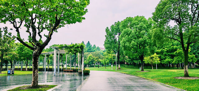 閔行文化公園｜梅雨瀟瀟瀝瀝，公園鬱鬱蔥蔥