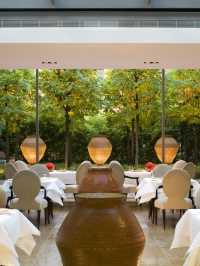 🌟 Berlin's Best Bets: Mandala Hotel Magic 🌟
