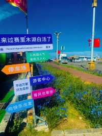 賽里木湖免費花海丨美到哭附賞花攻略