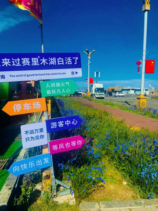賽里木湖免費花海丨美到哭附賞花攻略