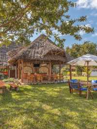🌴 Zanzibar's Hidden Gem: Kiwengwa Beach Resort 🏖️