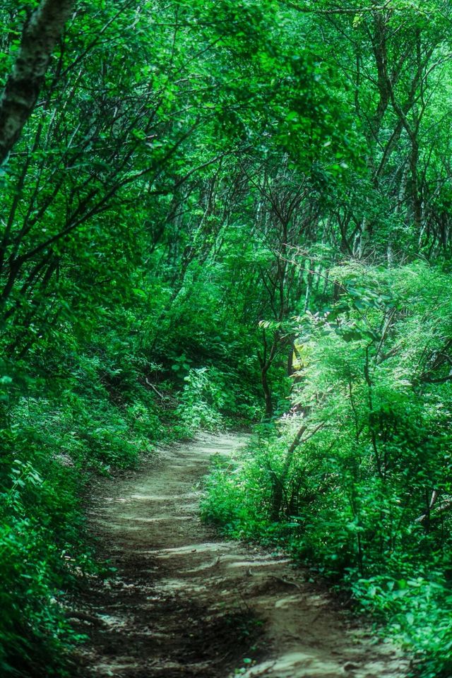 京郊最美空中草原北靈山徒步，宮崎駿的夏天