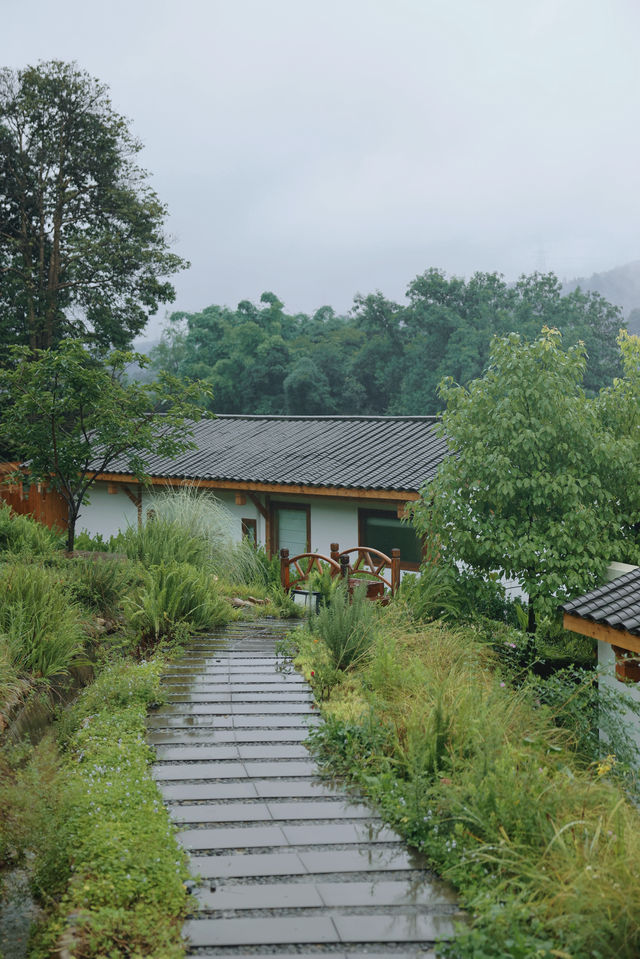 去雅安山里赴一場煙雨，尋一席靜謐，淋一身詩意