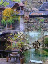 探秘椿樹溝，一場與自然之美的浪漫邂逅
