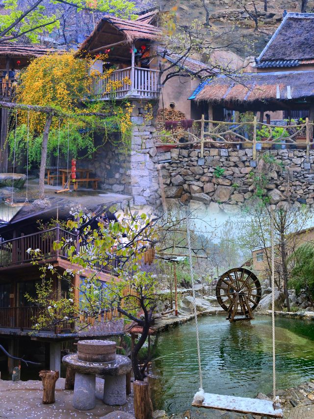 探秘椿樹溝，一場與自然之美的浪漫邂逅