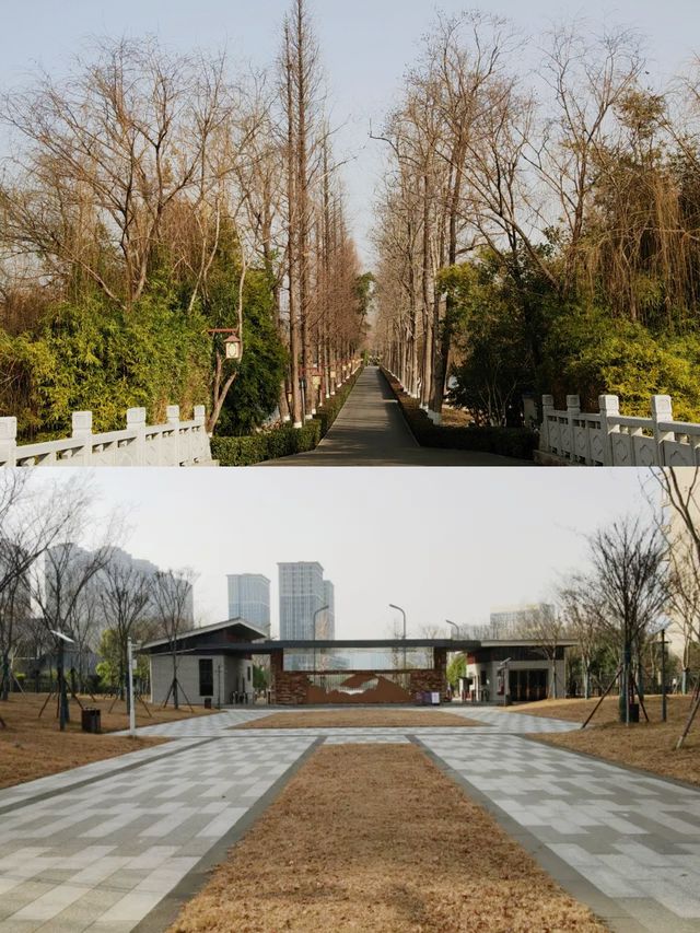 長沙周邊遊——洋湖濕地公園