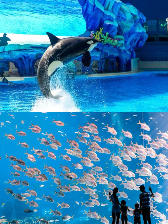 珠海一日遊，這樣玩轉珠海新地標！