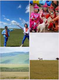 呼倫貝爾大草原旅遊攻略