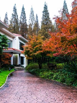 🌿🏨 Shanghai Serenity: Yiqin Garden Resort Guide 🌸