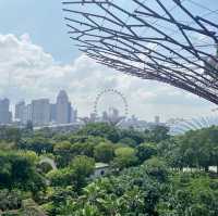 Gardens by the Bay - Skyway 🌴