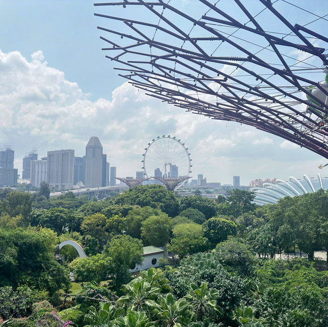 Gardens by the Bay - Skyway 🌴