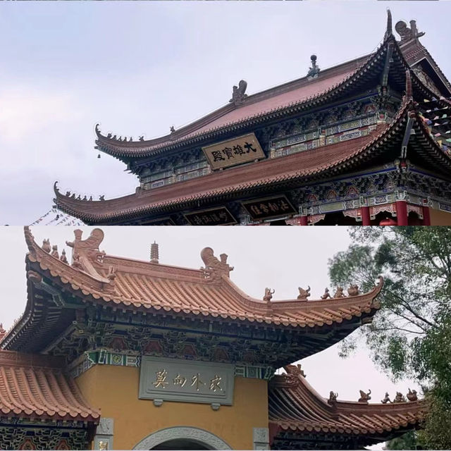 【鬥門金台寺】靜心打卡，釋放煩惱