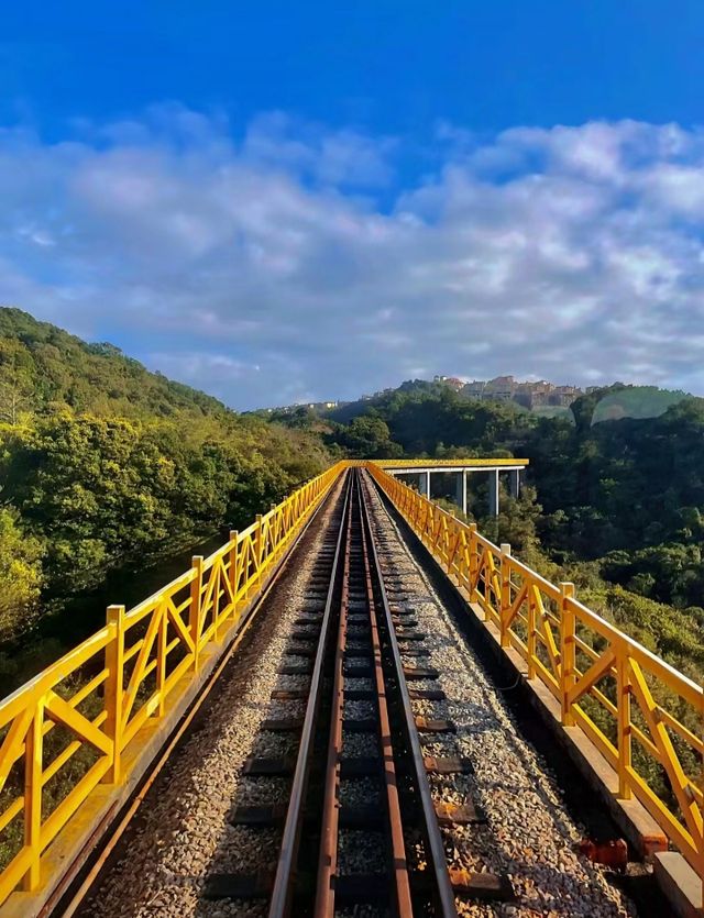 人生建議:一定要坐一次森林小火車