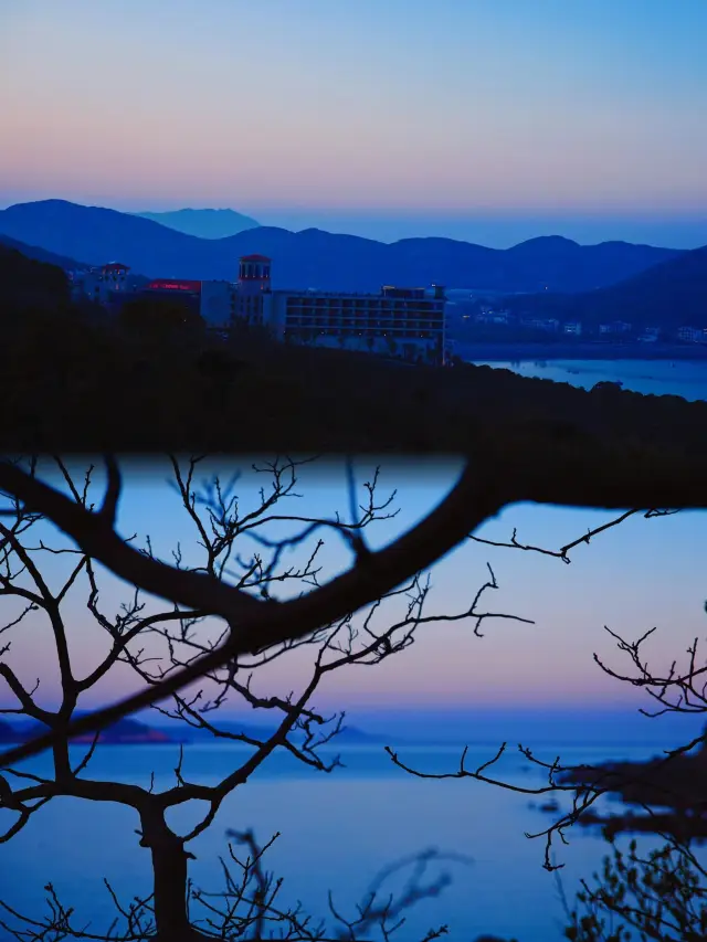 Zhoushan Travel Return｜Happy Beachcombing