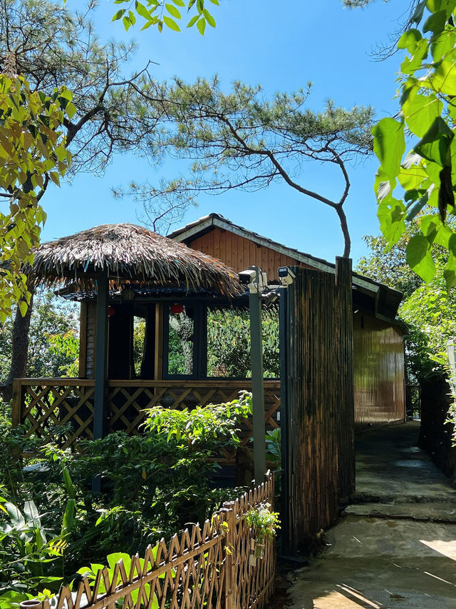 被低估的清遠仙山無痛住進風景裡