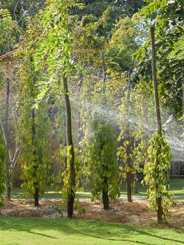 🌴🏖️ Phu Quoc's Paradise: Green Bay Resort Highlights 🌞🍹 🌴🏖️ Phu Quoc's Paradise: Green Bay Resort Highlights 🌞🍹