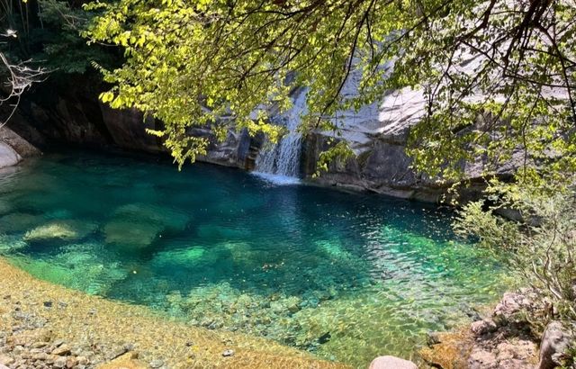 黃山九龍瀑：一瀑九折，探索碧綠潭水的奧秘！