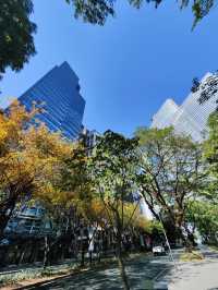 🇵🇭Manila⛲️One-day City Walk🚶Route