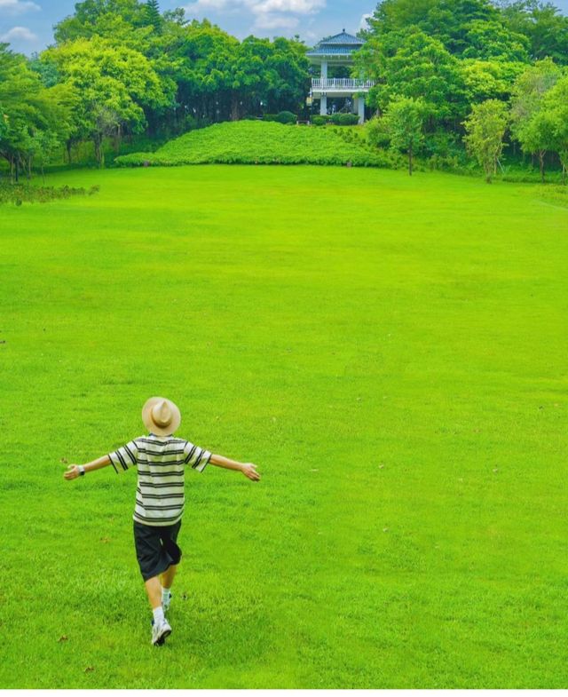 深圳阿勒泰!?就在南山区!