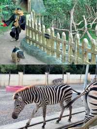 長沙動趣王國打卡全攻略