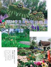 「深圳筆架山粵港澳大灣區花展」：花海盛宴，不容錯過