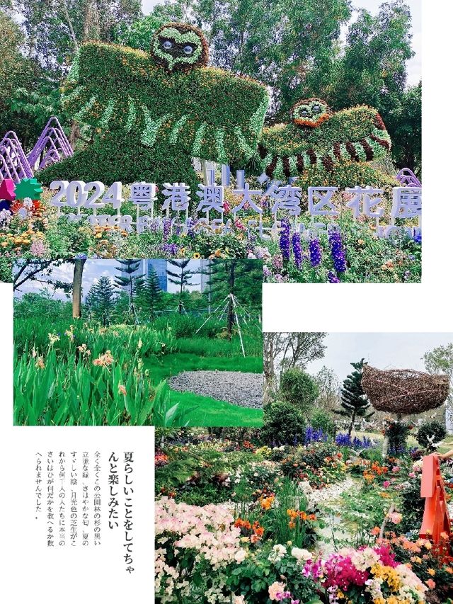 「深圳筆架山粵港澳大灣區花展」：花海盛宴，不容錯過