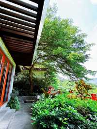 Seek tranquility and escape the summer heat in midsummer, come to Yunfu Xinxing Longshan Hot Spring Hotel!