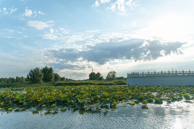 吉林長春北湖濕地公園｜一幅充滿生機與活力的畫卷。
