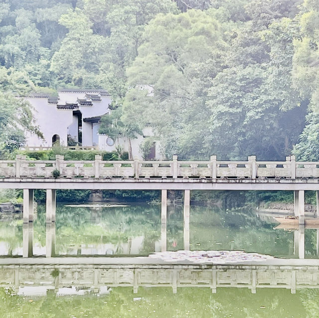 深圳園博園一日遊