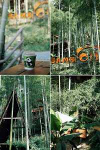 杭州附近的高山草原在秋季限定版變成了一幅美麗的油畫風景!