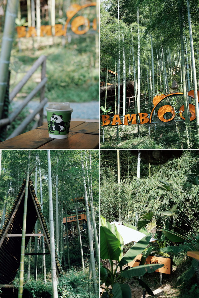 杭州附近的高山草原在秋季限定版變成了一幅美麗的油畫風景!