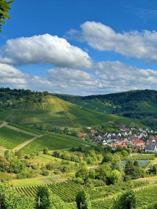 What to do around Stuttgart, Germany.