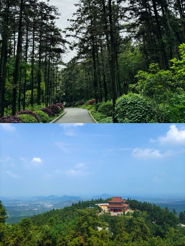 自從來了冶父山就發現！！！。