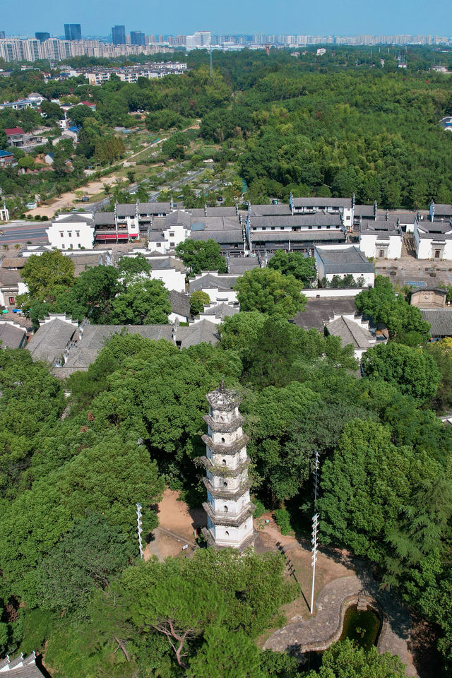 江浙滬寶藏小城 | 衢州這份攻略收好。