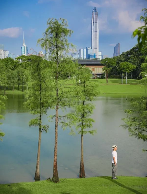 深圳公園探險指南🌳✨
