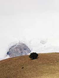 走,帶你進入宮崎駿的漫畫世界。。