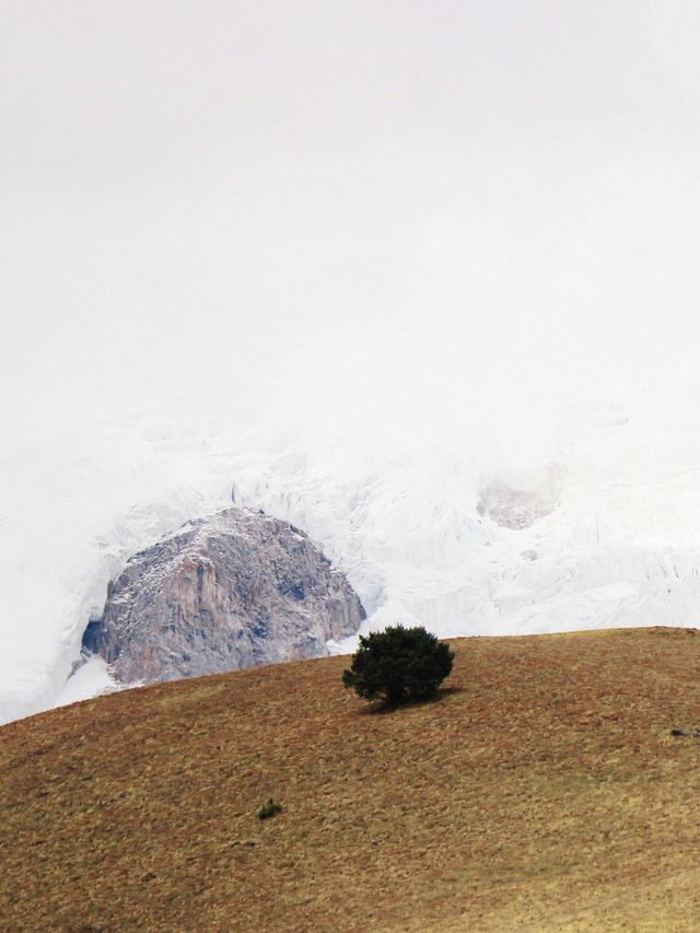 走,帶你進入宮崎駿的漫畫世界。。 走,帶你進入宮崎駿的漫畫世界。。