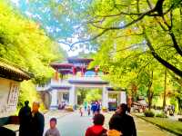 如果你來漢中一定要來這裡感受歷史的遺跡。