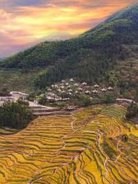 人生建議 不要錯過十月的梯田瀑布，美得令人落淚。