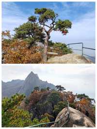 丹東鳳城鳳凰山，秋賞紅葉漫山遍野，層林盡染色彩斑斕。