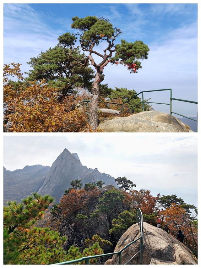 丹東鳳城鳳凰山，秋賞紅葉漫山遍野，層林盡染色彩斑斕。