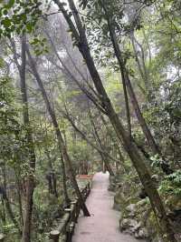 綿陽九皇山美景。