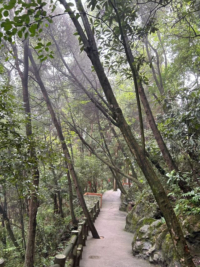 綿陽九皇山美景。