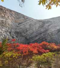 荒野紅葉，異星礦場。