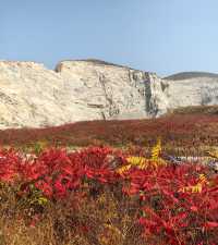 荒野紅葉，異星礦場。