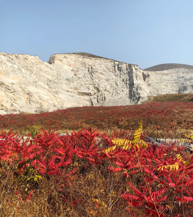 荒野紅葉，異星礦場。